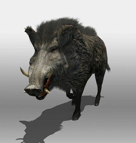 Wild Boar 3D model animated rigged | CGTrader