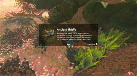 Zelda: Breath Of The Wild Horse Gear Locations