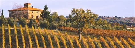 Tuscany wine tours