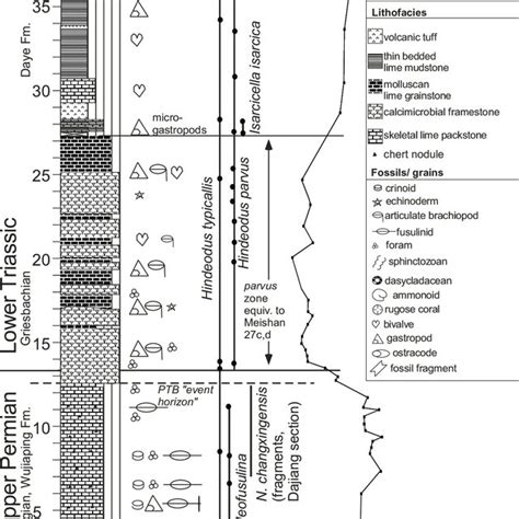 (PDF) Field Excursion 2: Permian-Triassic boundary and a Lower-Middle Triassic boundary sequence ...