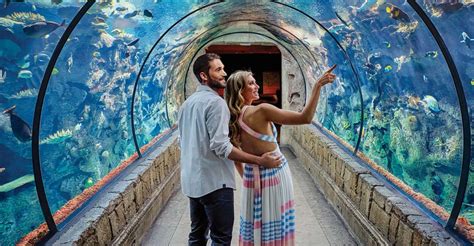 Las Vegas: Shark Reef Aquarium & VR Experience Entry Ticket | GetYourGuide