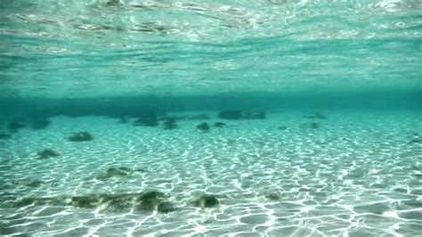 Bahamas - Eleuthera - Snorkeling - YouTube