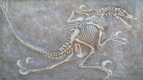 AI breakthrough could revolutionize how we research dinosaur fossils