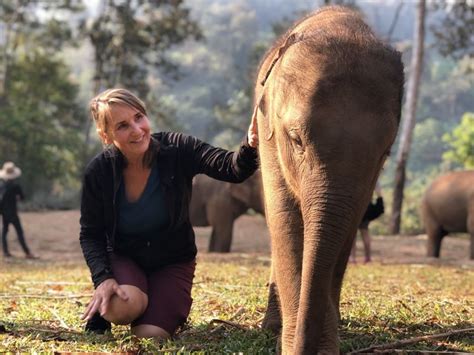 Phuket: Ethical Elephant Sanctuary Interactive Tour - Phuket.Net