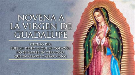 Séptimo Día de la Novena a la Virgen de Guadalupe – Mi Diócesis de ...