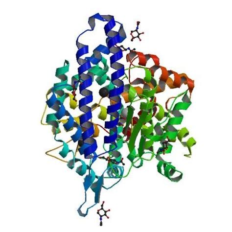 Three dimensional structure of the enzyme ACE (PDB ID 108A) | Download Scientific Diagram