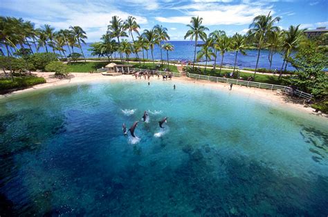 Dolphin Quest Locations - Big Island Hawaii