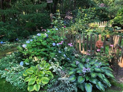 Revisiting an Ohio Garden - Green Garden