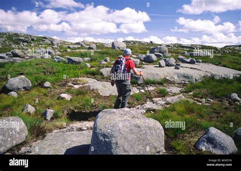 Scottish hill walking in the Galloway Hills walker walking through Stock Photo, Royalty Free ...