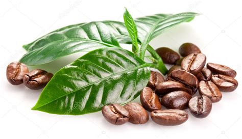 Roasted coffee beans and leaves. — Stock Photo © Valentyn_Volkov #37091737