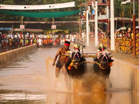 10 Most Famous Festivals Celebrated in Karnataka - Tusk Travel Blog