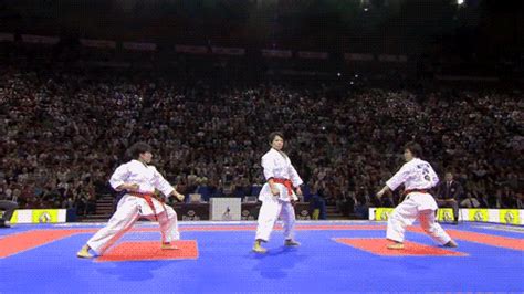 Martial Arts Gif - Gif Abyss