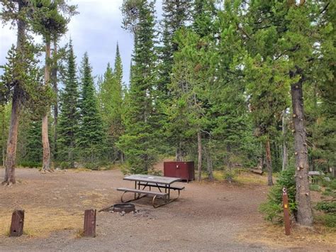 Lewis Lake Campground - Yellowstone National Park | Park Ranger John