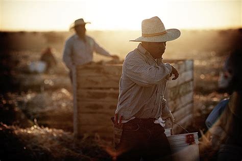 Striking Photos Show Struggle Of Farmers In California Drought | HuffPost