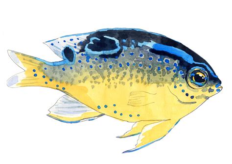 Quick sketches of fish in watercolor :: Behance