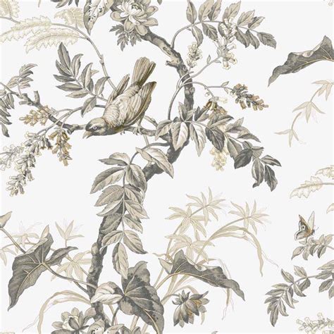 Black White At4142 Bird Toile Wallpaper By York | Toile wallpaper ...