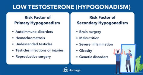 Low Testosterone in Men (Hypogonadism): Causes, Risk Factors, Treatment ...