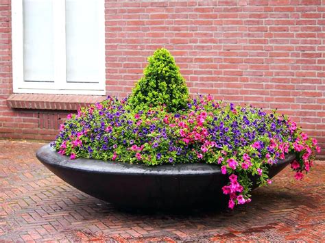 garden bowl planter bowl planter large garden bowl planter | Planters ...