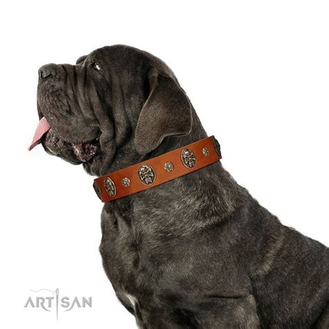 Rockstar FDT Artisan Tan Leather Mastiff 【Collar】 with Engraved Studs ...