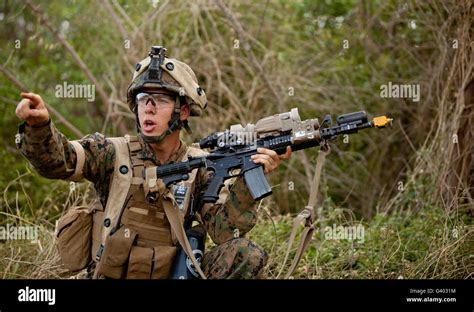 U.S. Marine Corps machine gunner directs his fire team Stock Photo - Alamy