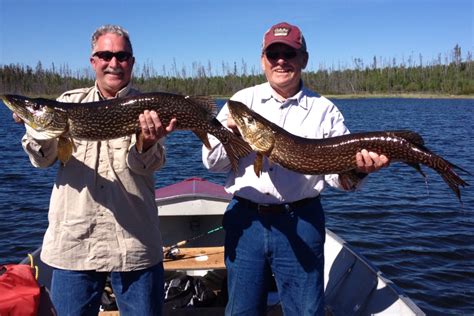 Fishing Reindeer lake Bay Lodge, Pike Fishing, Lawrence, Reindeer, Lake, Best