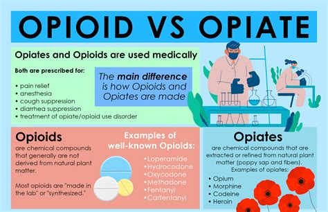 Opioid vs Opiate: Understanding Addiction and Treatment