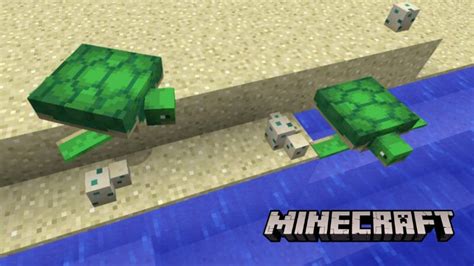 Minecraft: How to get Sea Turtle Eggs - The Best T-Shirt Trends for ...