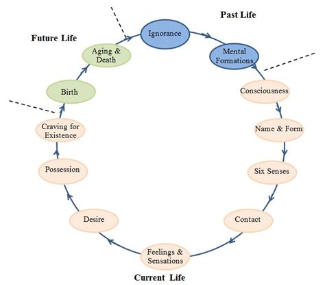 A Level Religious Studies - Buddhism Causal Links