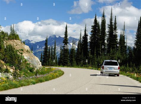 Mount revelstoke national park road hi-res stock photography and images - Alamy