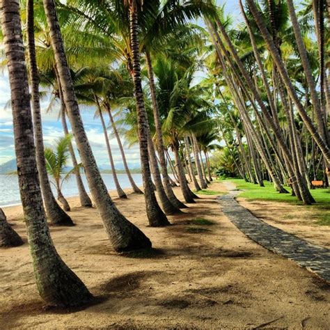 Palm Cove Beach | Beautiful places to travel, Island beach, Australia travel