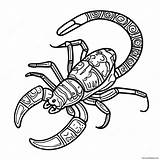 Realistic Scorpion Coloring Page 16581 13065 sketch template