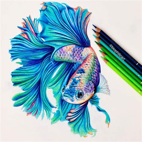 Design Stack: A Blog about Art, Design and Architecture: Realistic Animal Pencil Drawings