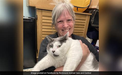 Cat That Weighs As Much As A Four-Year-Old Gets Adopted In US