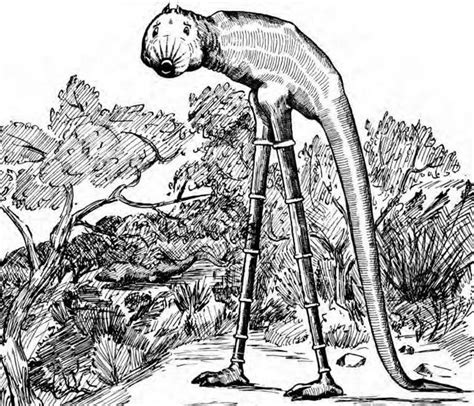 Fantastically Wrong: Ridiculous Mythical Critters Dreamed Up by 19th Century Lumberjacks | WIRED