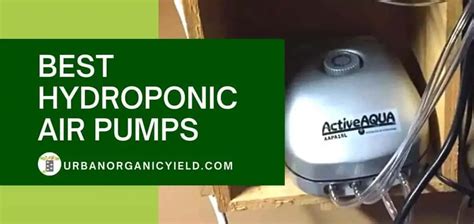 Best Hydroponic Air Pumps To Buy In 2023