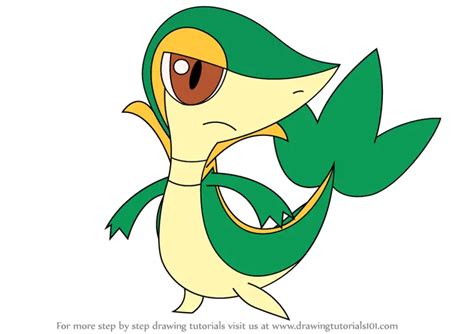 Learn How to Draw Snivy from Pokemon (Pokemon) Step by Step : Drawing Tutorials