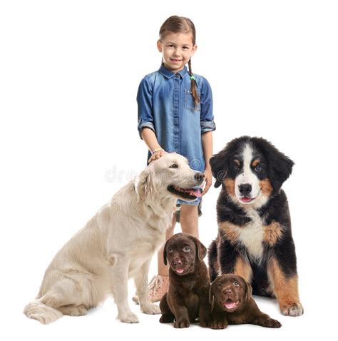 Cute Little Child with His Pets on Background Stock Image - Image of ...