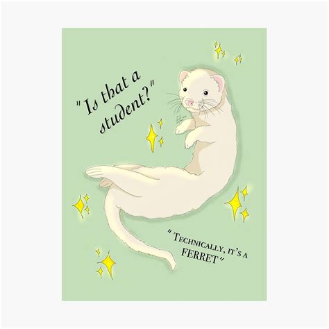 Draco Malfoy Ferret Sticker New Zealand | lupon.gov.ph