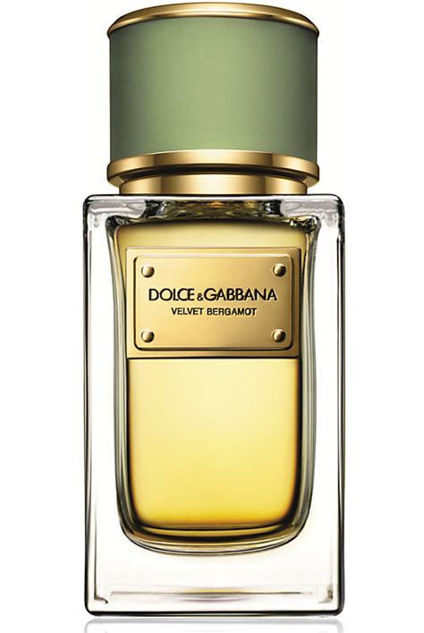 Velvet Bergamot Dolce&Gabbana cologne - a new fragrance for men 2014