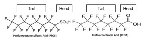 PFAS