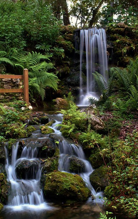 Rainbow Springs Waterfall Photograph by John Suter - Fine Art America