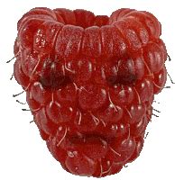 Berries GIFs | Tenor