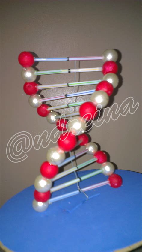 Maqueta de la molécula de ADN, realizado con pitillos (sorbetes) y esferas de anime ...