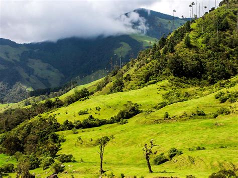 Guided Hiking Tour in Los Nevados National Park in Colombia