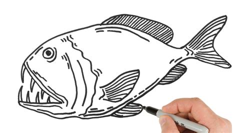 How to Draw Deep-Sea Fish | Easy Animals Drawings - YouTube