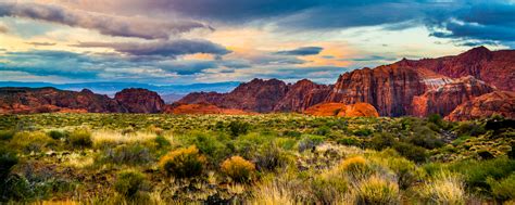 Snow Canyon Colors - Jeremiah Barber Photography