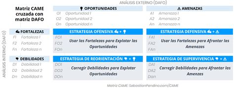 Cómo hacer un Análisis CAME Paso a Paso 🥇 [Matriz + Ejemplo]