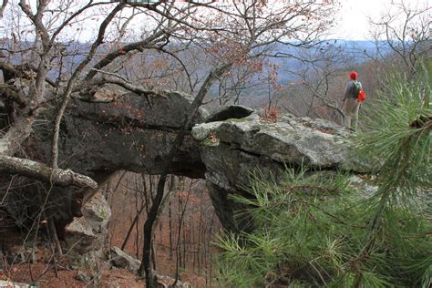 Buzzard Roost Trail (Ozark Forest) | Ozark, Natural bridge, Forest