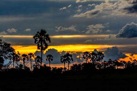 Sunset Okavango Delta | Smithsonian Photo Contest | Smithsonian Magazine