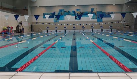 Will Training in a 25m Pool Have an Adverse Impact on Swimmers? - Gold ...